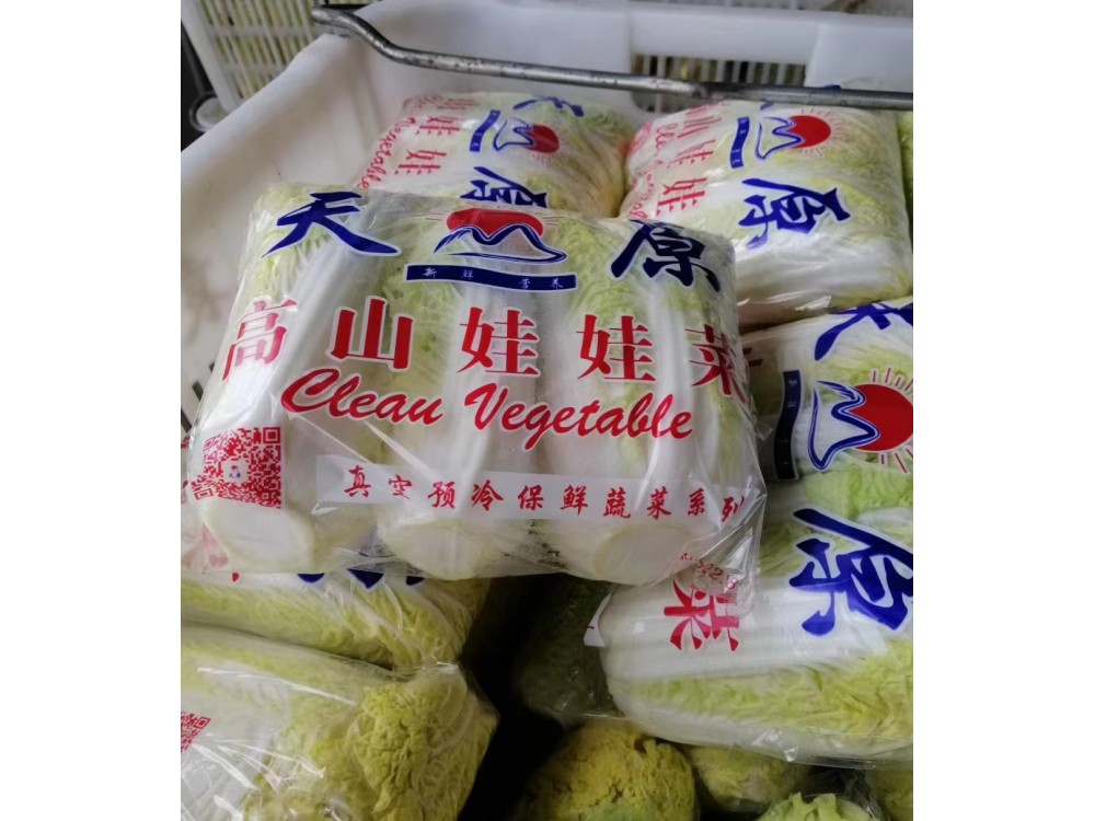 中國甘肅金昌國內(nèi)最的娃娃種植、加工基地，大型高端真空預(yù)冷機安裝完成。