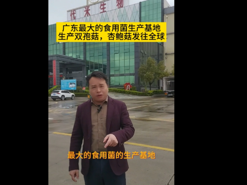 廣東最大的食用菌生產(chǎn)基地，代米生物真空預冷機使用現(xiàn)場